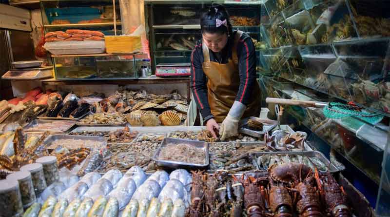 Fish imports from indian firm suspended in China ।Sangbad Pratidin