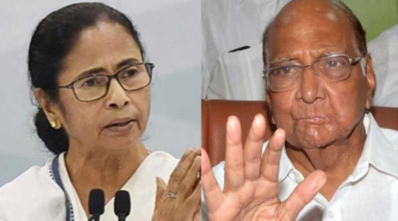NCP leader Nawab Malik supports TMC leader Mamata Banerjee on expanding outside Bengal | Sangbad Pratidin