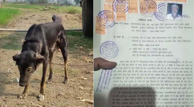Farmer in Madhya Pradesh declares dog legal heir in will along with wife | Sangbad Pratidin