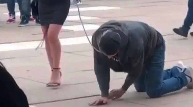 Canadian woman walks husband on leash after curfew, ends up with $3000 fine | Sangbad Pratidin