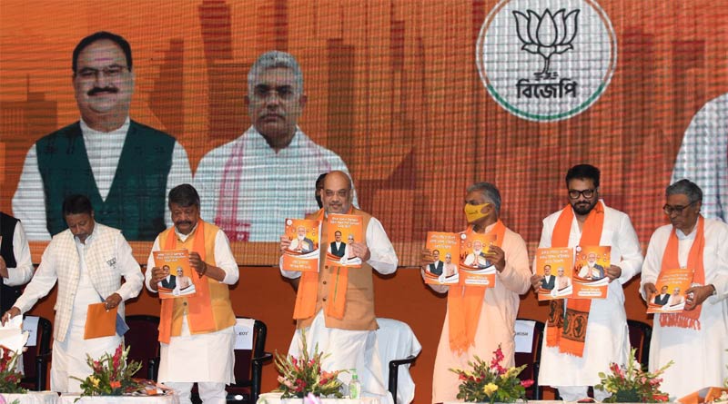 BJP's Election Manifesto Focuses on Bengal's Cultural Heritage | Sangbad Pratidin