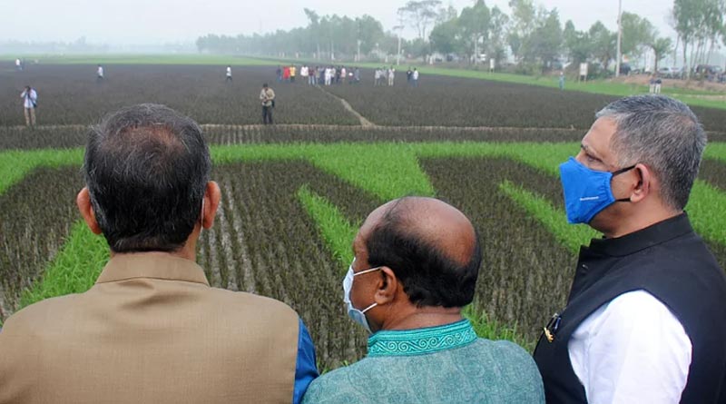 Bangladesh farmer creates Bangabandhu's face, creates history | Sangbad Pratidin