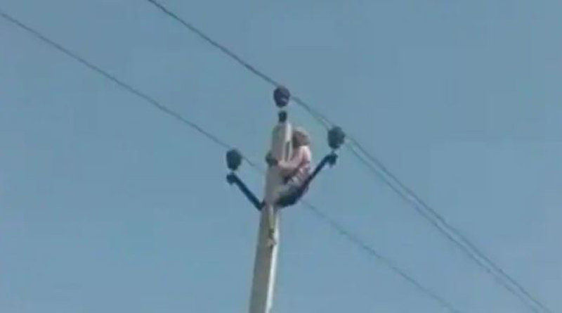 60-year-old man climbs electric pole in Rajasthan after family objects to second marriage | Sangbad Pratidin