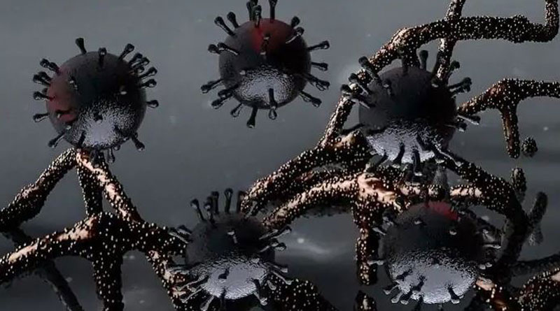 Now found in India, this 'superbug' can lead to next pandemic | Sangbad Pratidin