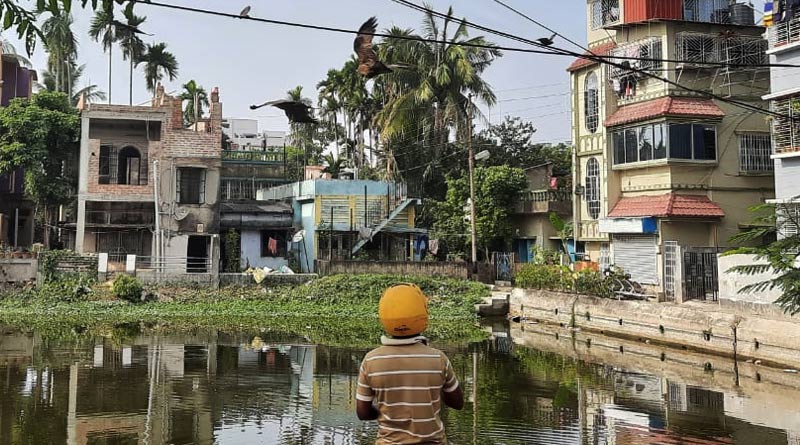 Kolkata: Behala man feeds birds of pray to protect the dwindling population | Sangbad Pratidin