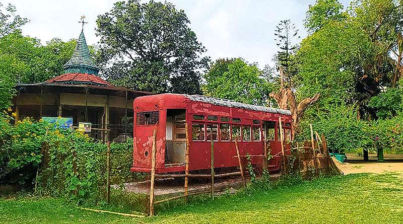 Trumshop to open in Kolkata's Alipore Zoo | Sangbad Pratidin