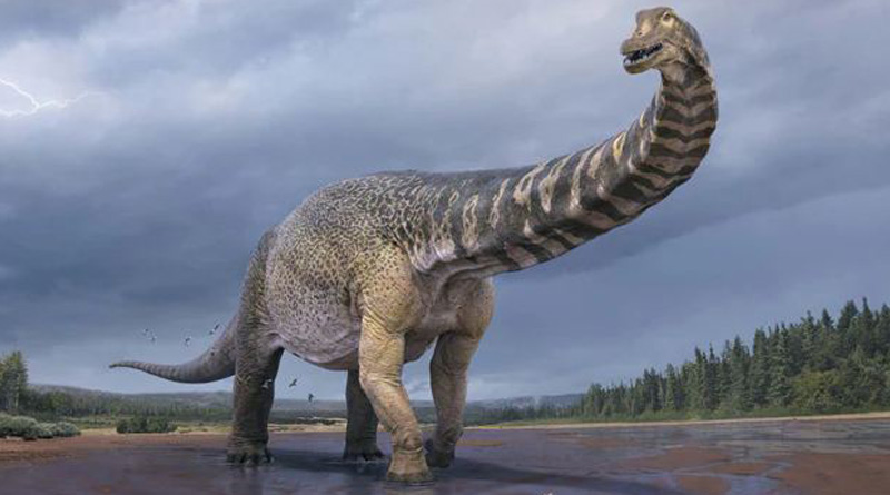 “Cooper", Australia's largest dinosaur identified as new species | Sangbad Pratidin