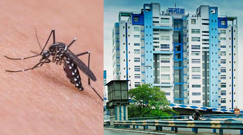 Bengal government sends a letter to centre for fund of dengue ।Sangbad Pratidin
