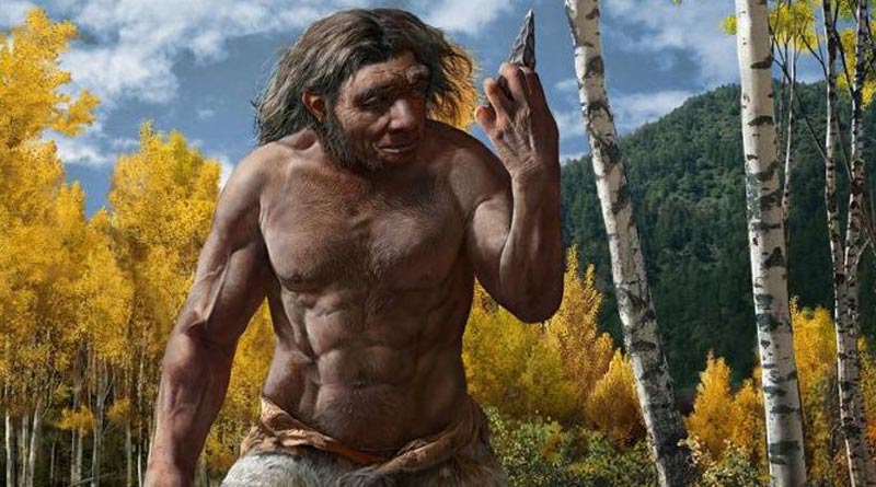 Fossil from China leads to discovery of new ancient human species | Sangbad Pratidin