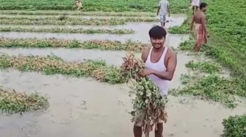 WB Govt tale strict action to ensure monetary help to farmers after Yaas | Sangbad Pratidin