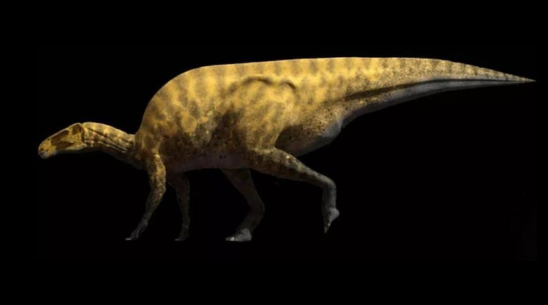 New dinosaur species identified in Spain | Sangbad Pratidin