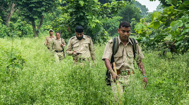 Forest department will buy arms for the employees to protect the forest | Sangbad Pratidin