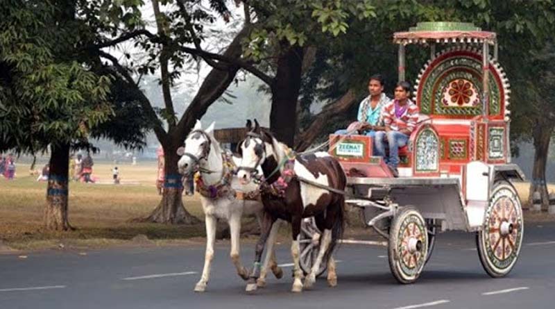 Due to lack of food five horses dies in Kolkata । Sangbad Pratidin