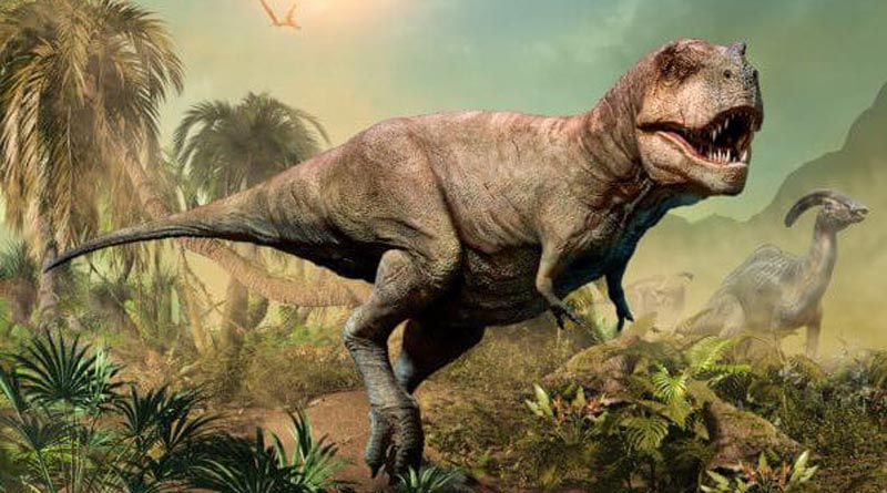 Before an asteroid wiped out dinosaurs, climate change was already killing them slowly। Sangbad Pratidin