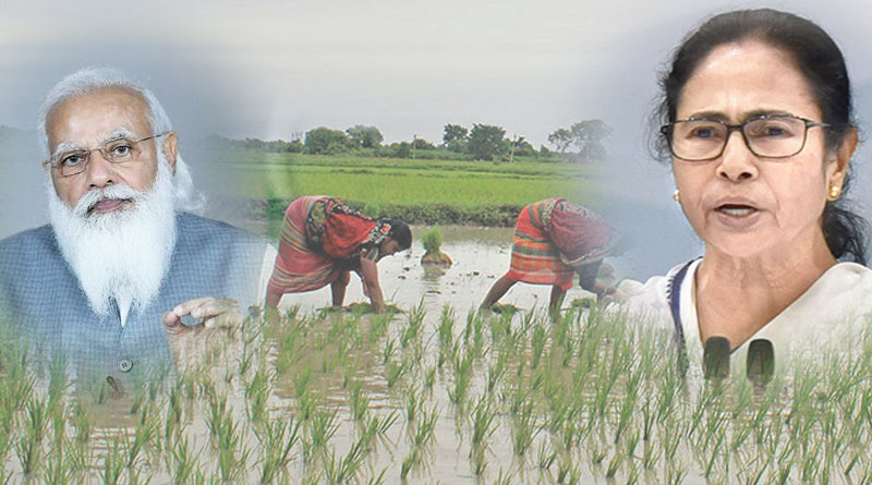 15 Lakh farmers yet to receive Prime Minister Kishan Nidhi fund, says West Bengal govt | Sangbad Pratidin