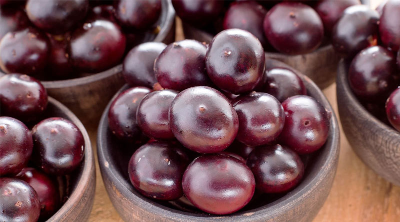 Acai berry prevents early signs of aging | Sangbad Pratidin
