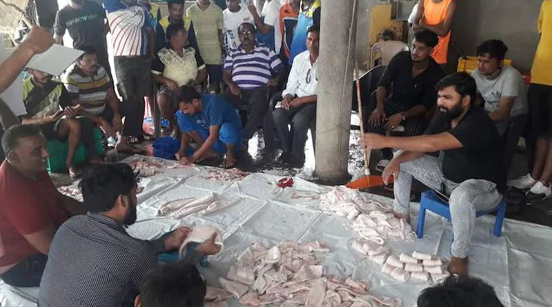 Maharashtra fishermen's fortune change after selling 157 ghol fish for Rs 1.33 crores। Sangbad Pratidin