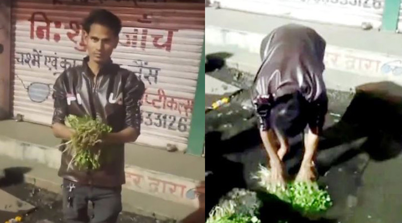 FIR against Bhopal vendor for washing coriander leaves in drain water। Sangbad Pratidin