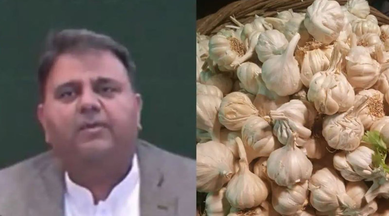 Pakistan's information minister Fawad Chaudhry claims "garlic as adrak"। Sangbad Pratidin