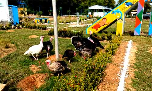 Purulia Tourism