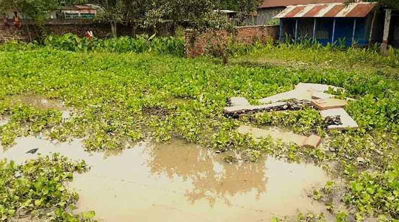 A skeleton recovers from Siliguri । Sangbad Pratidin