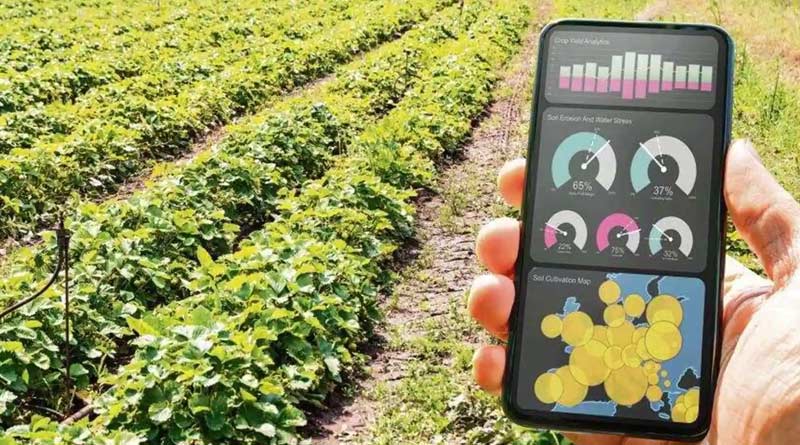 here is how to increase farm output
