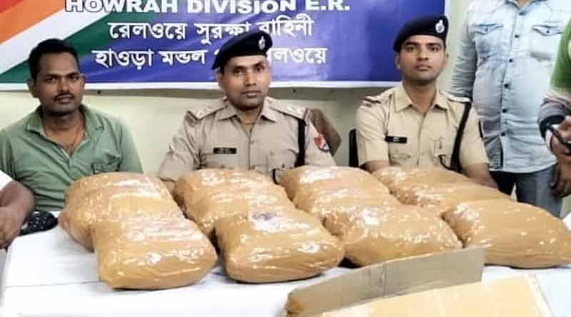 51 kg Sea Horse seized from Howrah Station