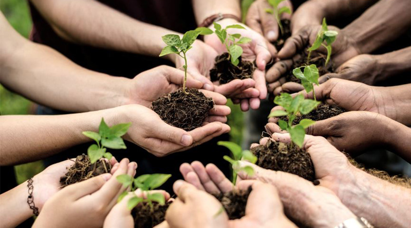 Five days fare will be organised at Hedua Park to save nature, environment and boost technological skills among the students | Sangbad Pratidin