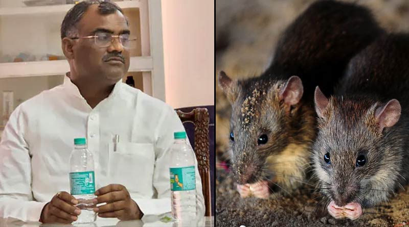 Uttar Pradesh Minister Girish Chandra Yadav bitten by rat during Banda tour । Sangbad Pratidin