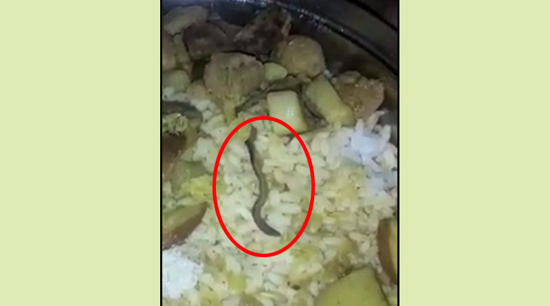 Worm found at Jalpaiguri hospital food, probe begins । Sangbad Pratidin