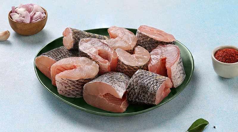 Fish
