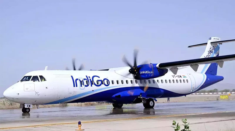 Bird hits Dubai bound IndiGo flight। Sangbad Pratidin