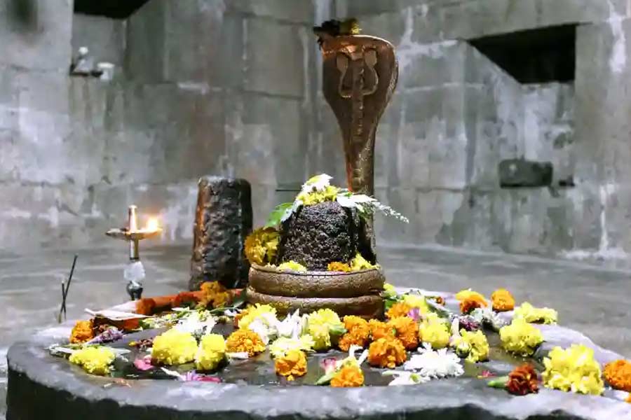 Here is what to do during Shravan month