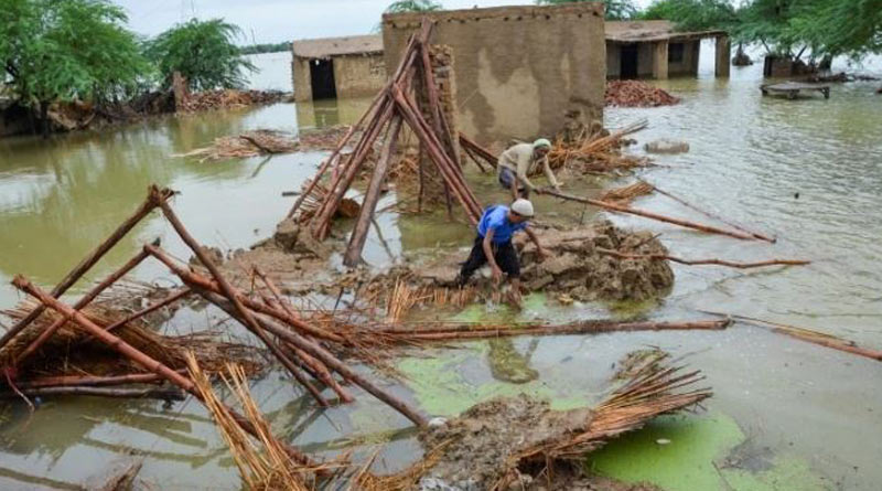 Floods have killed 982 people across Pakistan। Sangbad Pratidin