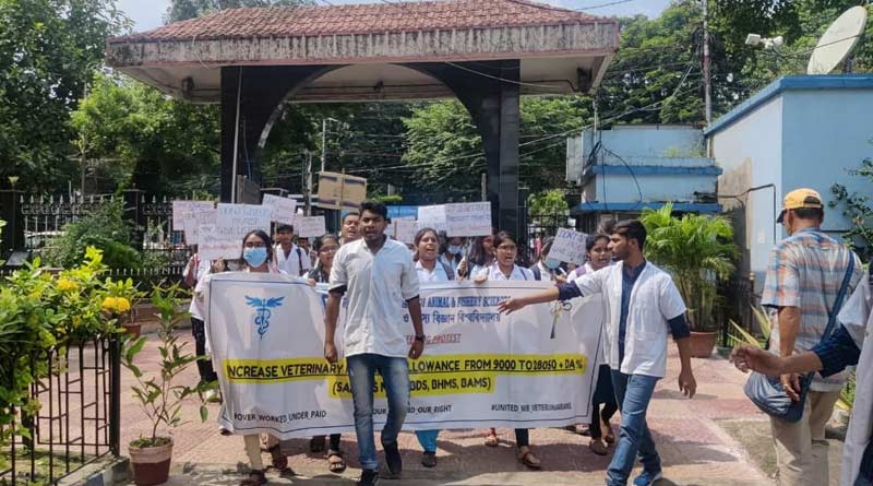 Veterinary interns demands pay at par with MBBS interns | Sangbad Pratidin