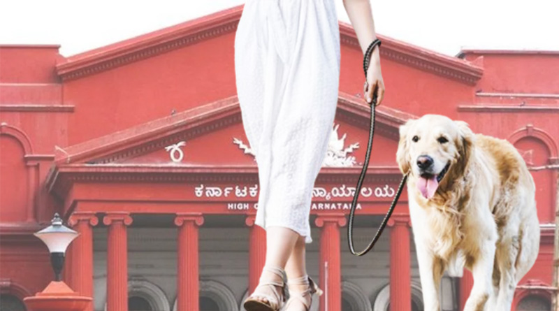Karnataka High Court says, Accident involving pets won't attract rash driving clause, it's only for humans | Sangbad Pratidin
