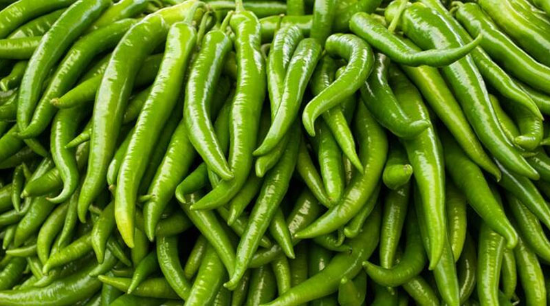 Green-Chillies-2