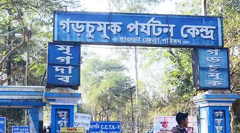 Dolphin breeding centre to open in Garchumuk । Sangbad Pratidin