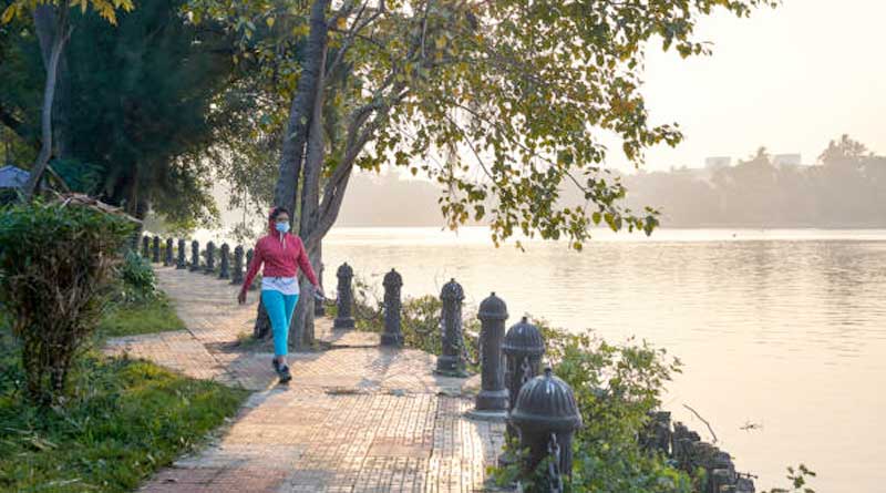 Kolkata's temperature may increase before Saraswati Puja । Sangbad Pratidin