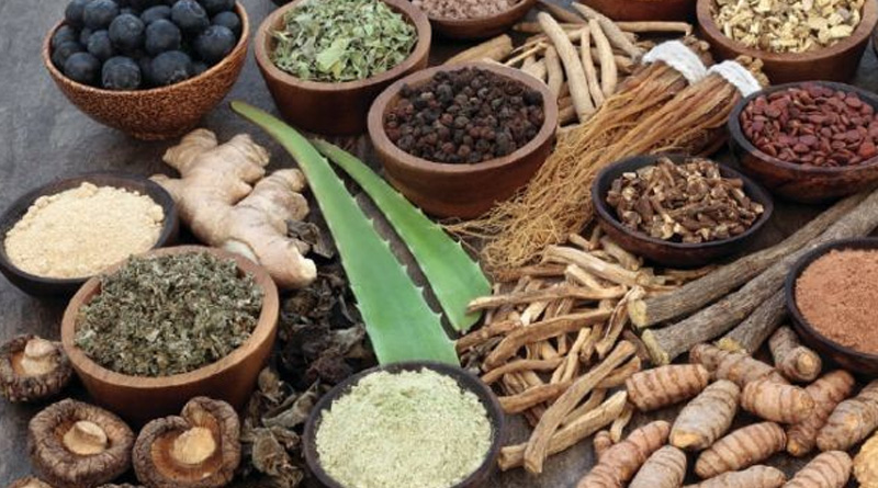 Goa to organize Ayurveda Congress, research papers will be presented | Sangbad Pratidin