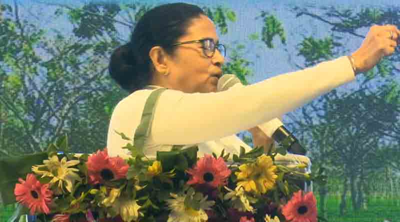 Central committee to survey MNREGA and other schemes, Mamata Banerjee slams government | Sangbad Pratidin