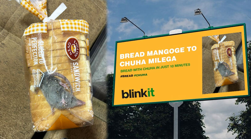 Watch: Man finds rat in bread packet delivered by Blinkit | Sangbad Pratidin