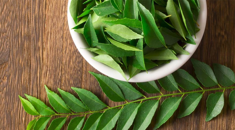 Skin care with curry leaves| Sangbad Pratidin