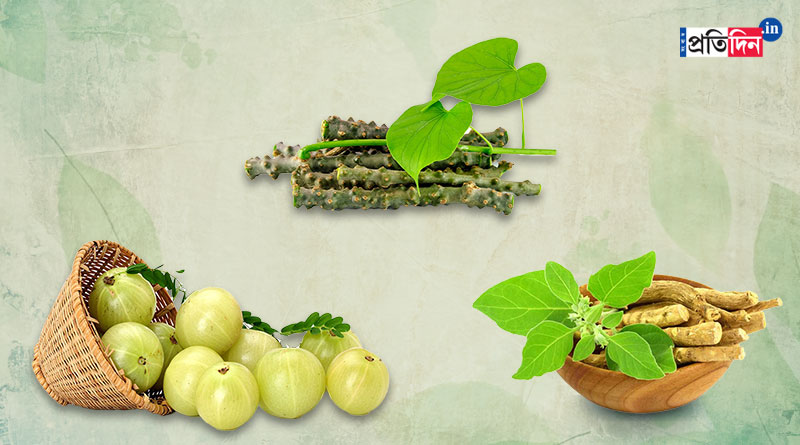Ayush Mantrak positive about Bengal's proposal to serve Amla, Tinospora in Mid Day Meal | Sangbad Pratidin