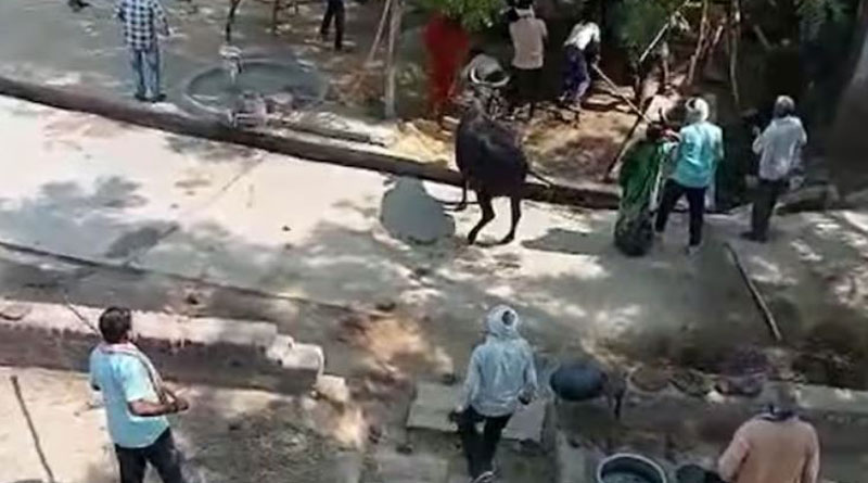 6 shot dead in firing between 2 groups in Madhya Pradesh Morena। Sangbad Pratidin