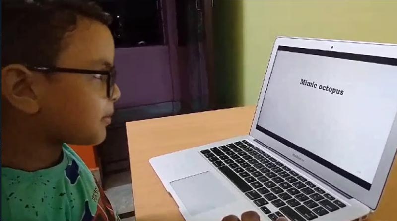 In search of rare talent, Shrihan Pal sets an Asia Record in Durgapur at the age of just 6 years | Sangbad Pratidin