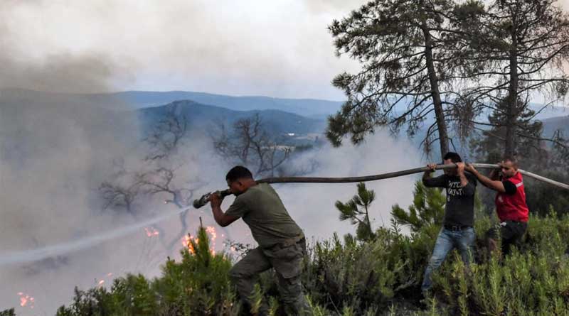 Algerian wildfires kill more than 34 people amid blistering heatwave | Sangbad Pratidin