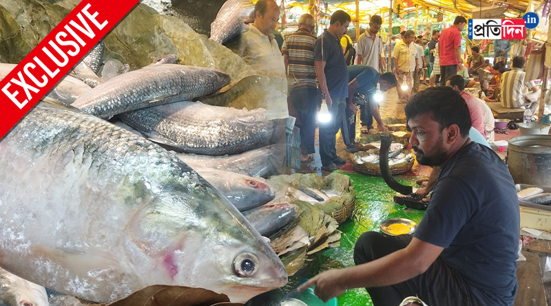 Exclusive: Danger increases for Hilsa Fish, and its taste is also deteriorating, Details is Here | Sangbad Pratidin