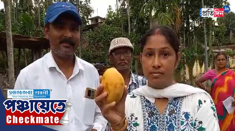 Panchayat Poll: Independent candidate rejected by TMC, selects mango as polling symbol
