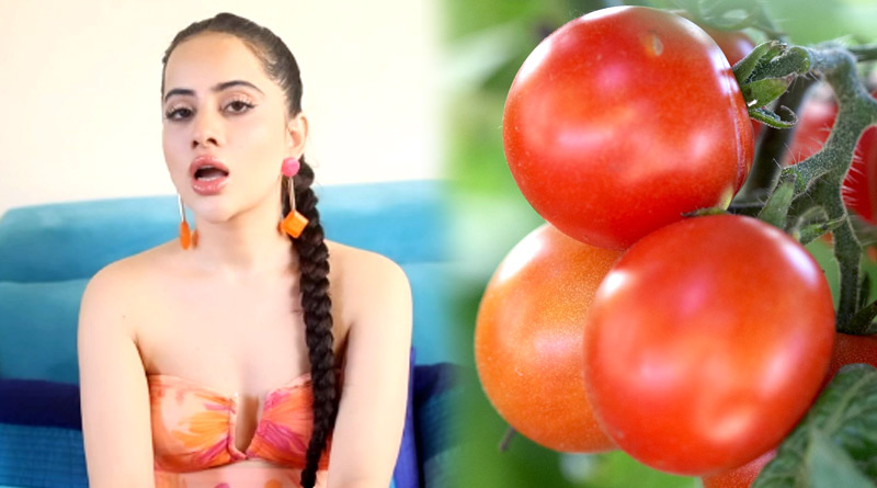 Uorfi reacted to the rise in price of tomatoes | Sangbad Pratidin